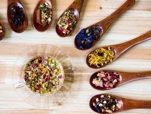 和泉市くぼ歯科/東洋医学